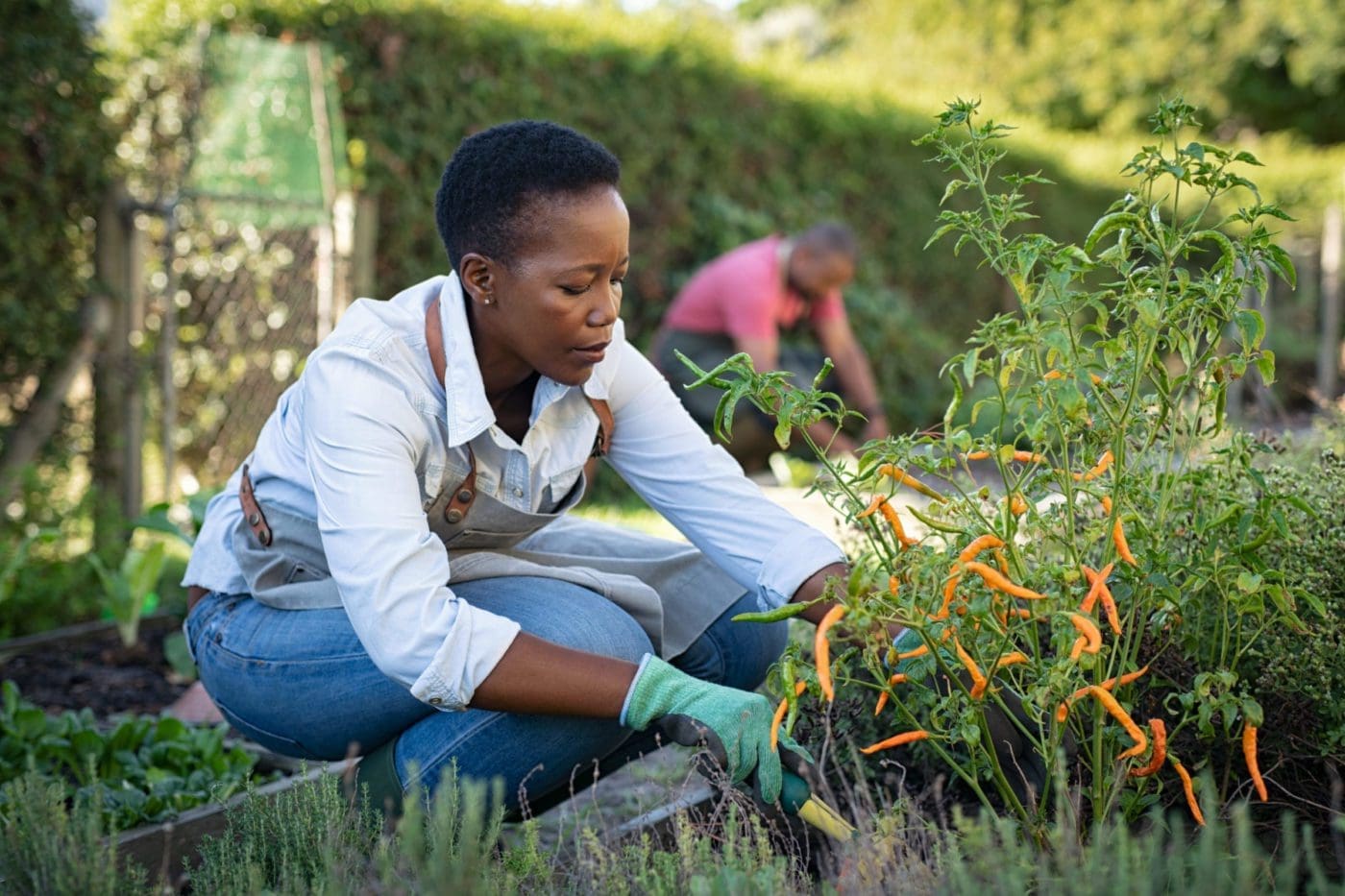 Gardening Maintenance