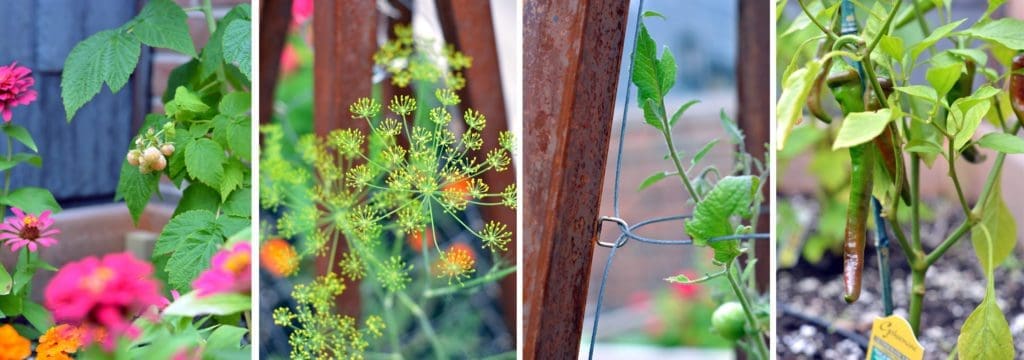 Topiarius Gardening