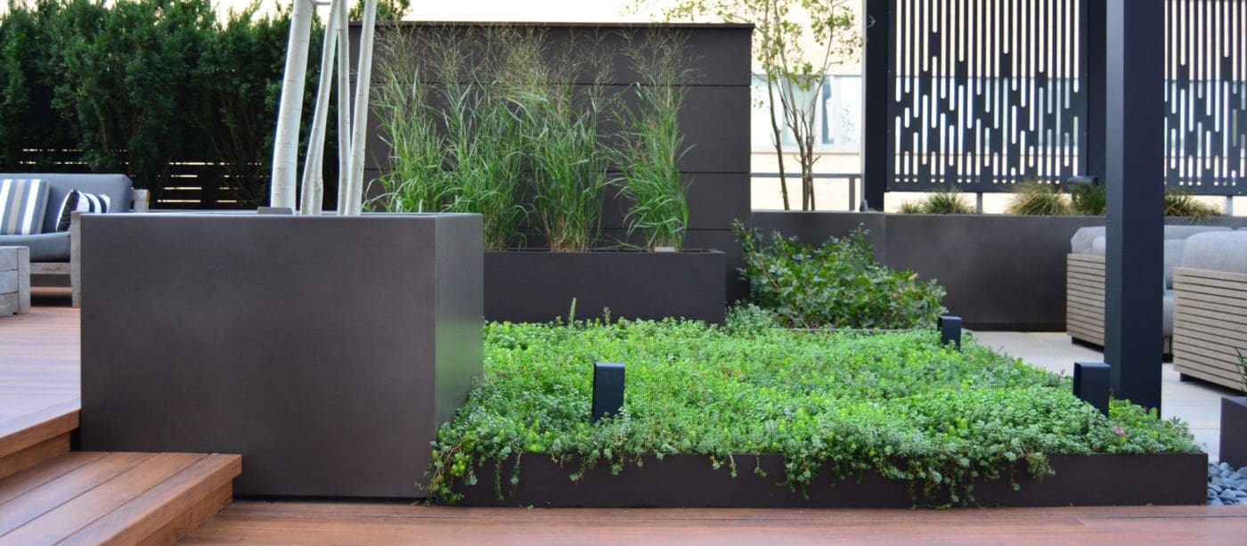 Green garden on a roof top deck.