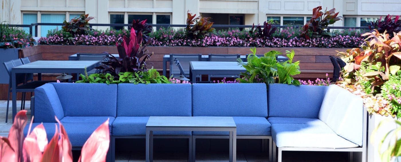 Roof Top