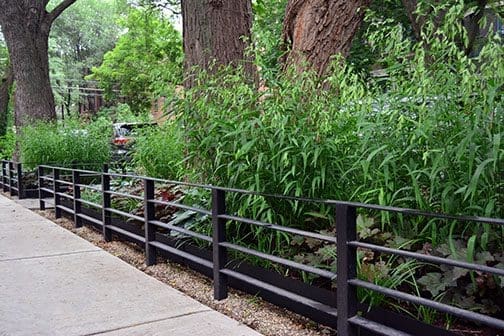Barnett Parkway plantings with metal railings.