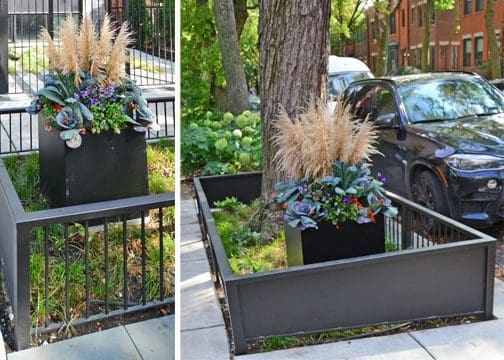 Lauer parkway plantings with metal railings.