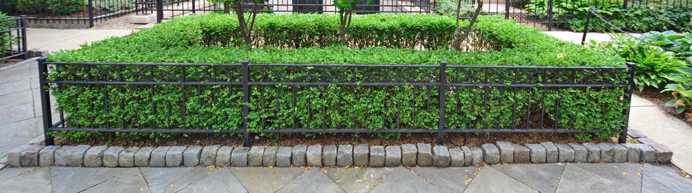 Parkway fencing around bushes.