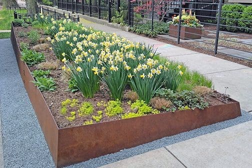 Raised garden with various perennials planted.