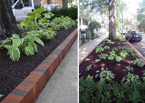Planting areas along the parkway.