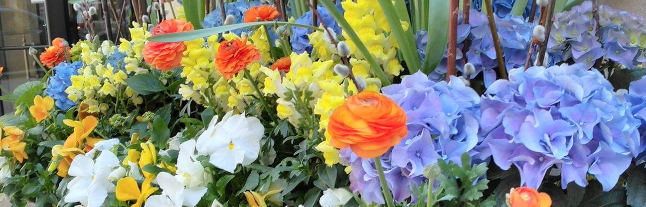 Close up of various spring plantings.