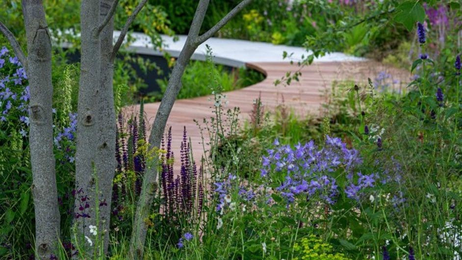 Elevated wooden walkway between floral plantings and greenery.