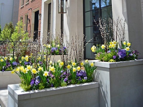 Spring Annual Planting
