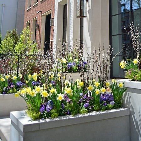 Spring Annual Planting