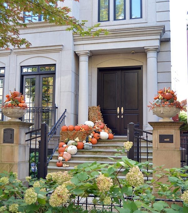 Fall Annuals and Halloween decor.