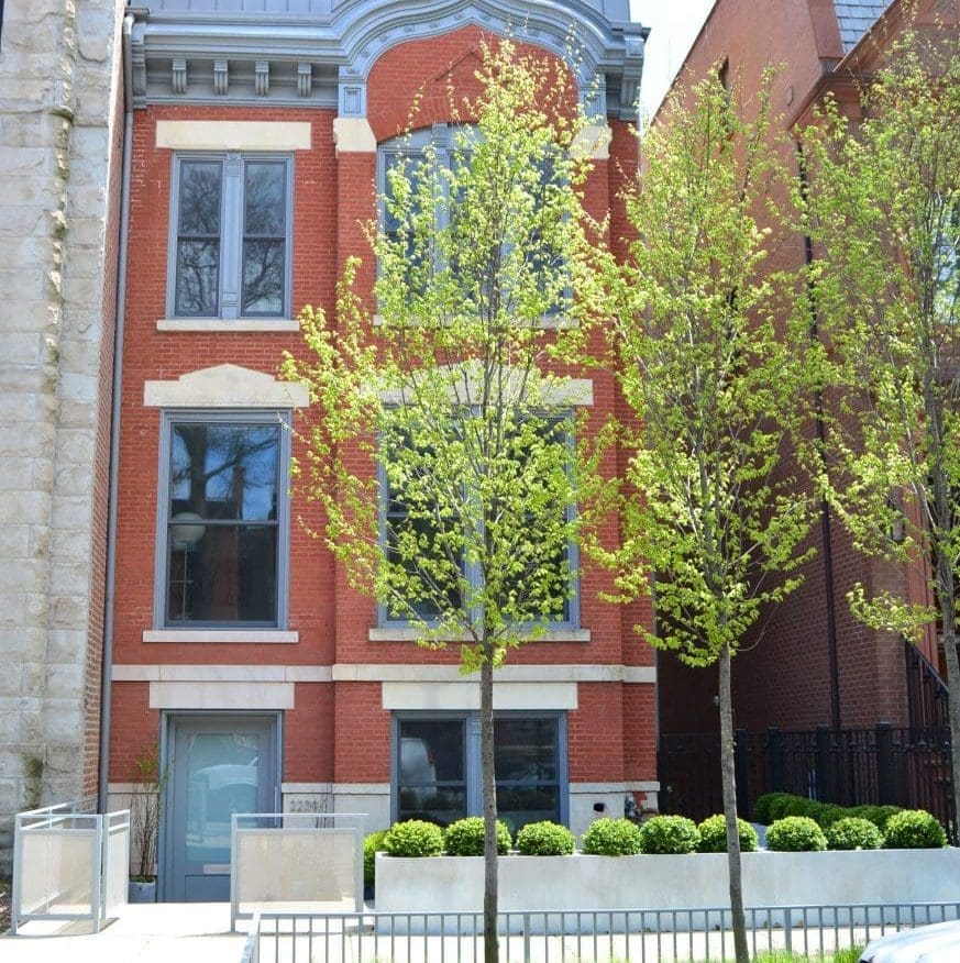 Newly planted trees outside of a home in the city.
