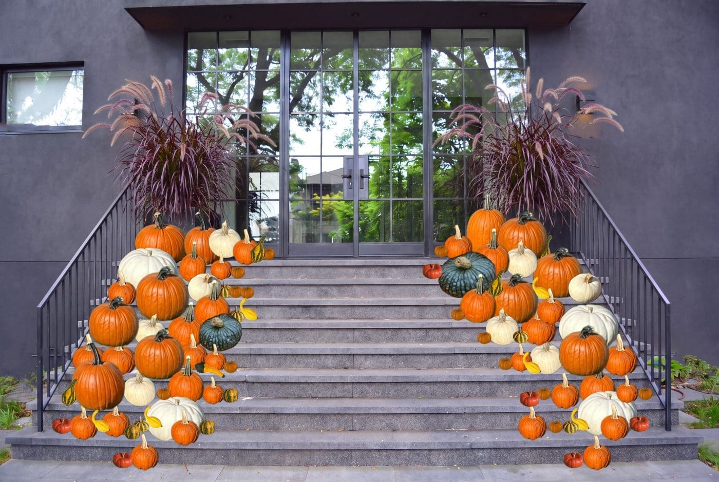 Pumpkin Season - Next Level Package - Image 2