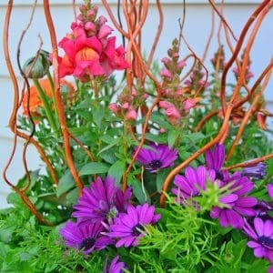 Spring Container Displays
