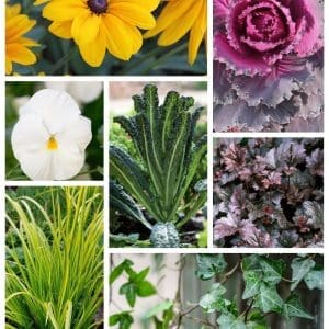 Fall Container Displays