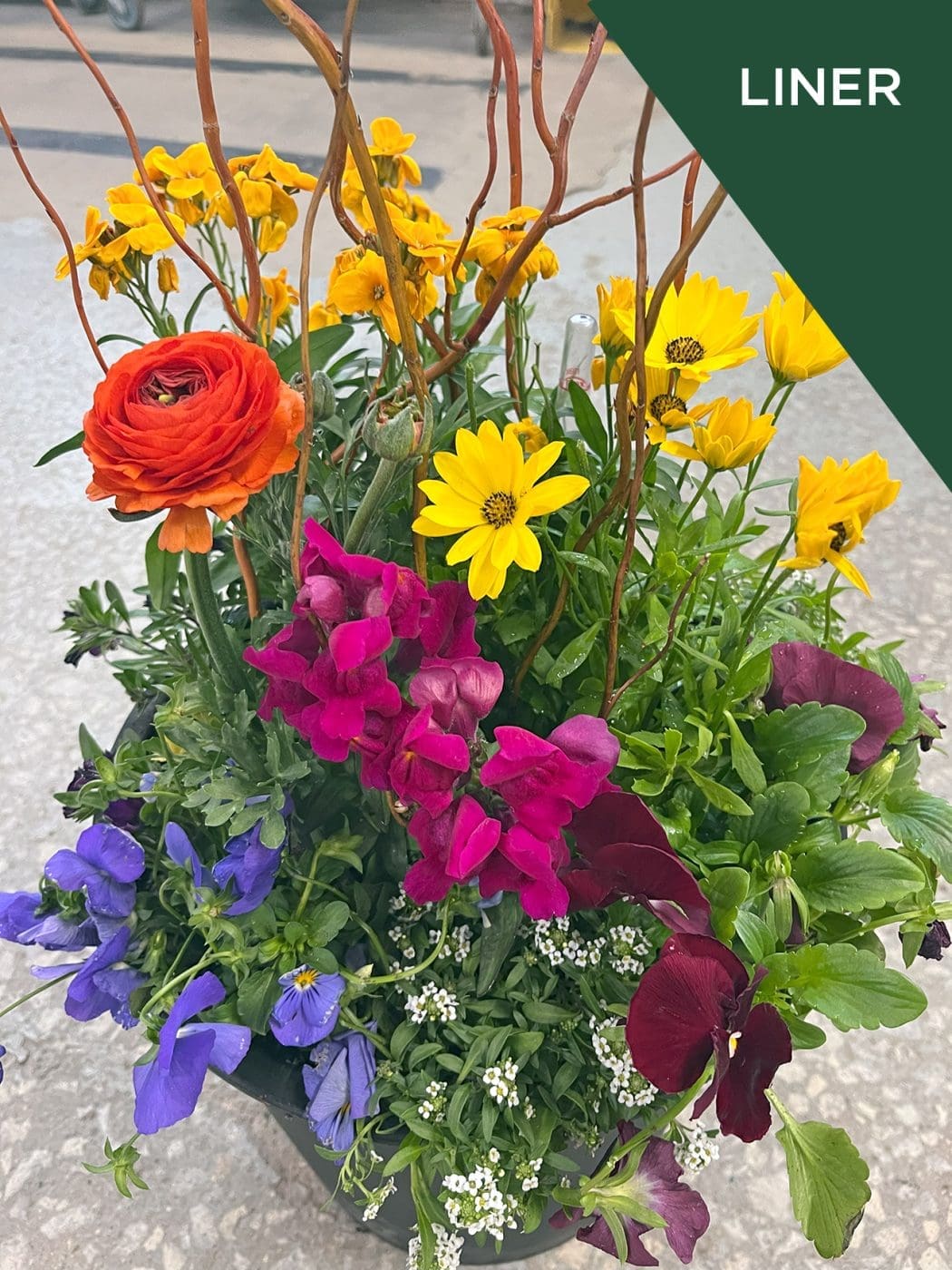 Annual Seasonal Subscription: Package 1 Container - Image 3