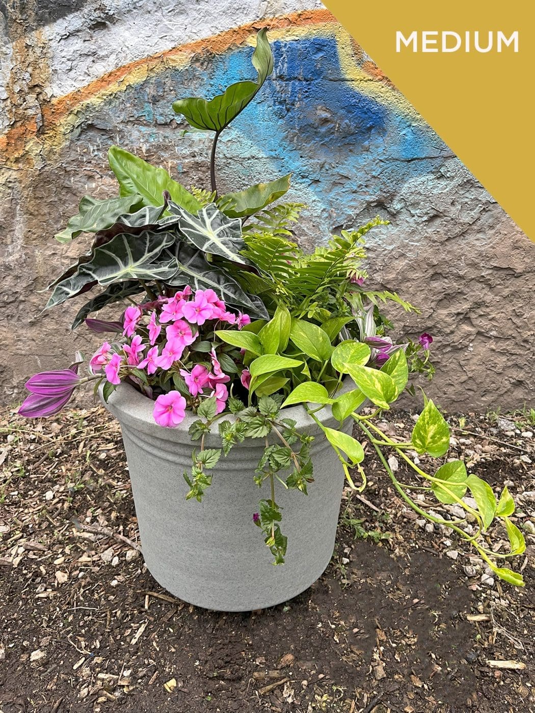 Summer Shade Plant Containers - Image 3