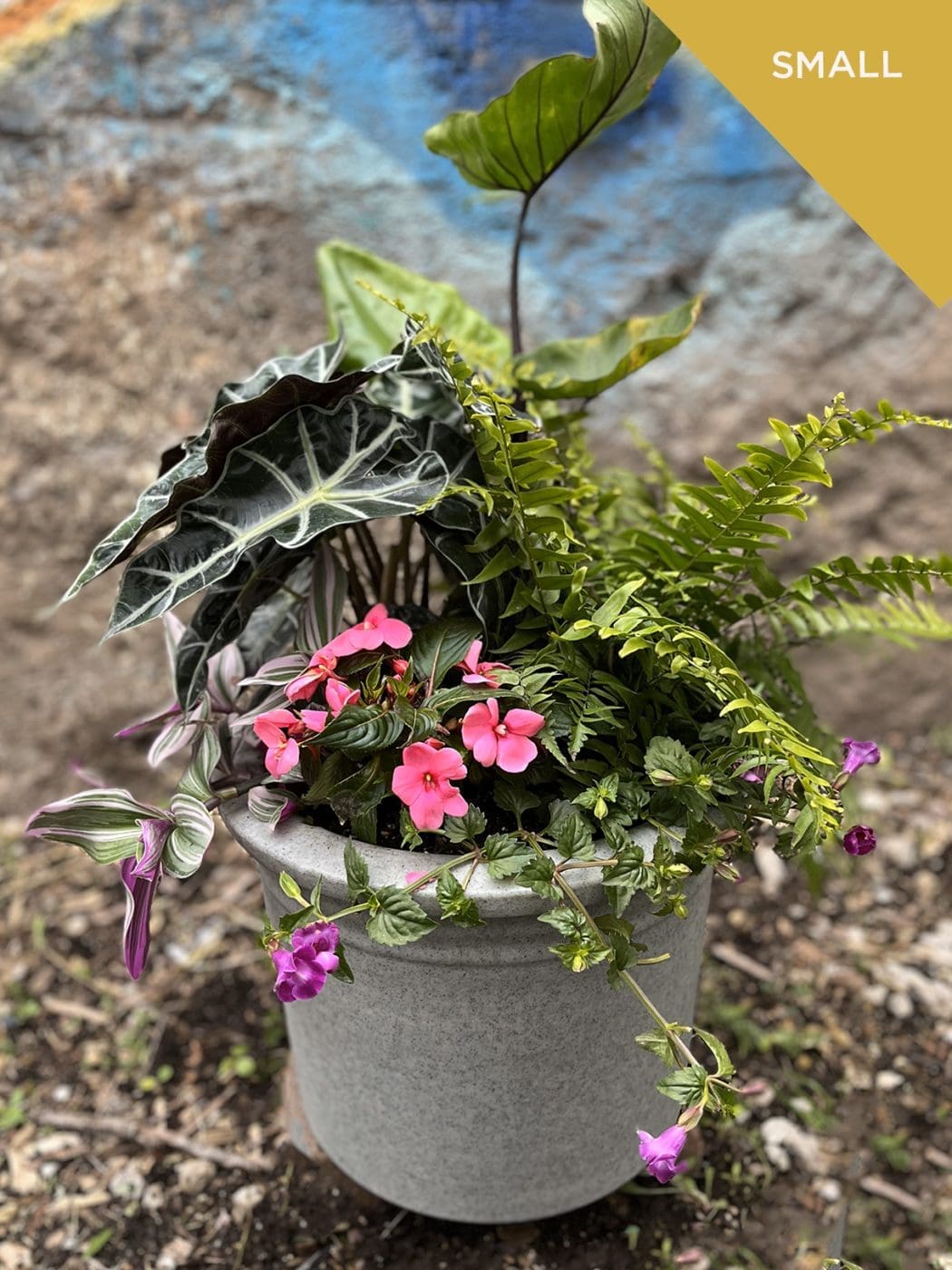 Summer Shade Plant Containers - Image 2