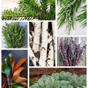 Winter Container Displays