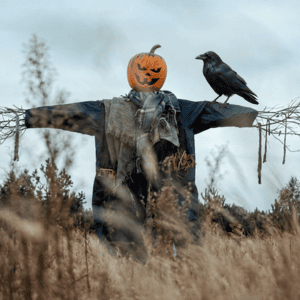 Scarecrow Revenge - Shadow Package