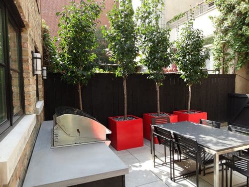 Backyard with dining, grilling, red containers and trees